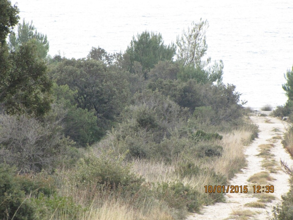 Image 4346592 - 3
