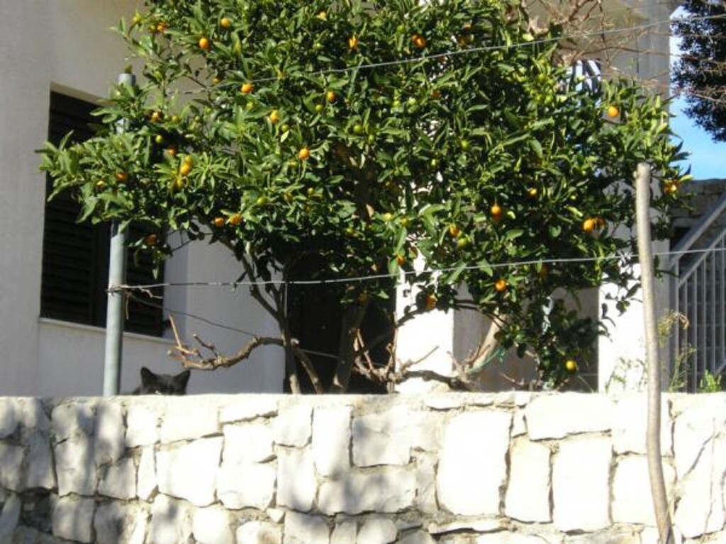 Image 3814444 - 6
