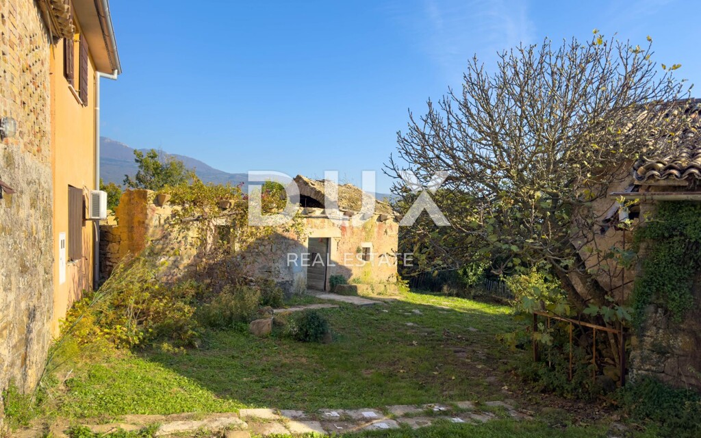 Image 23