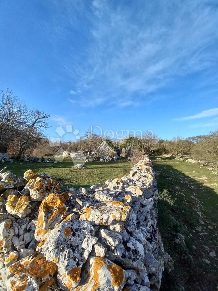 Image 13