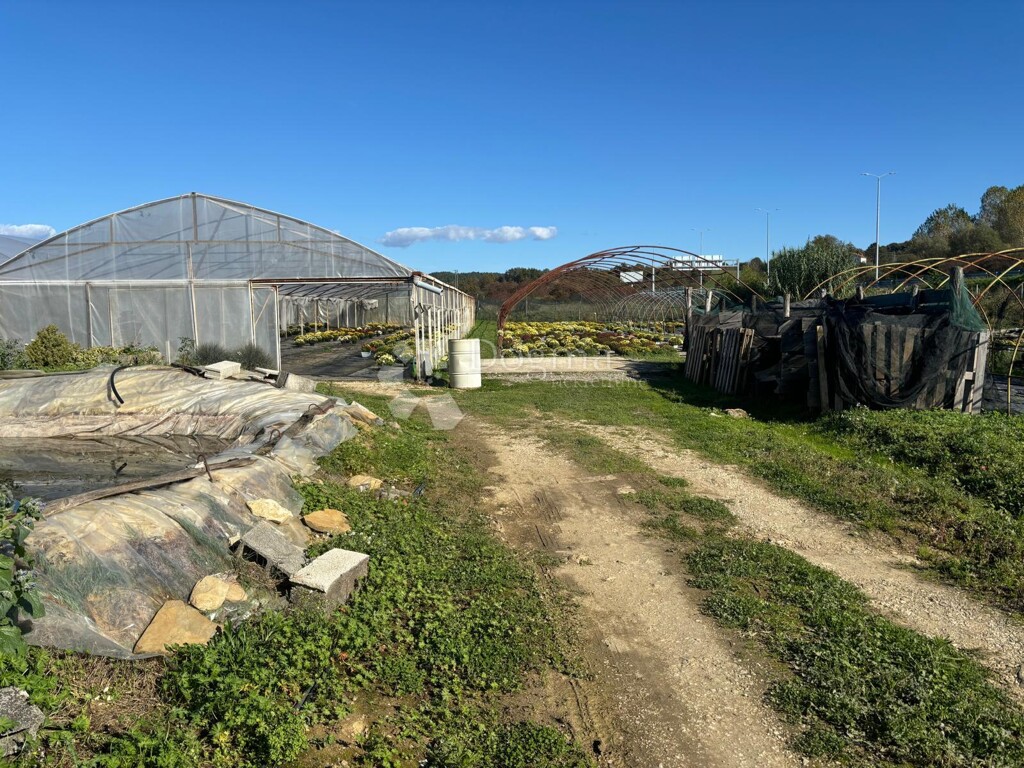 Image 13