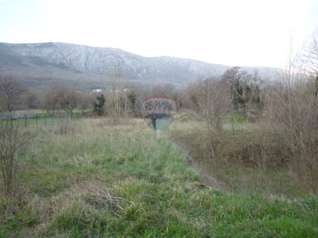 Image 5411063 - 2