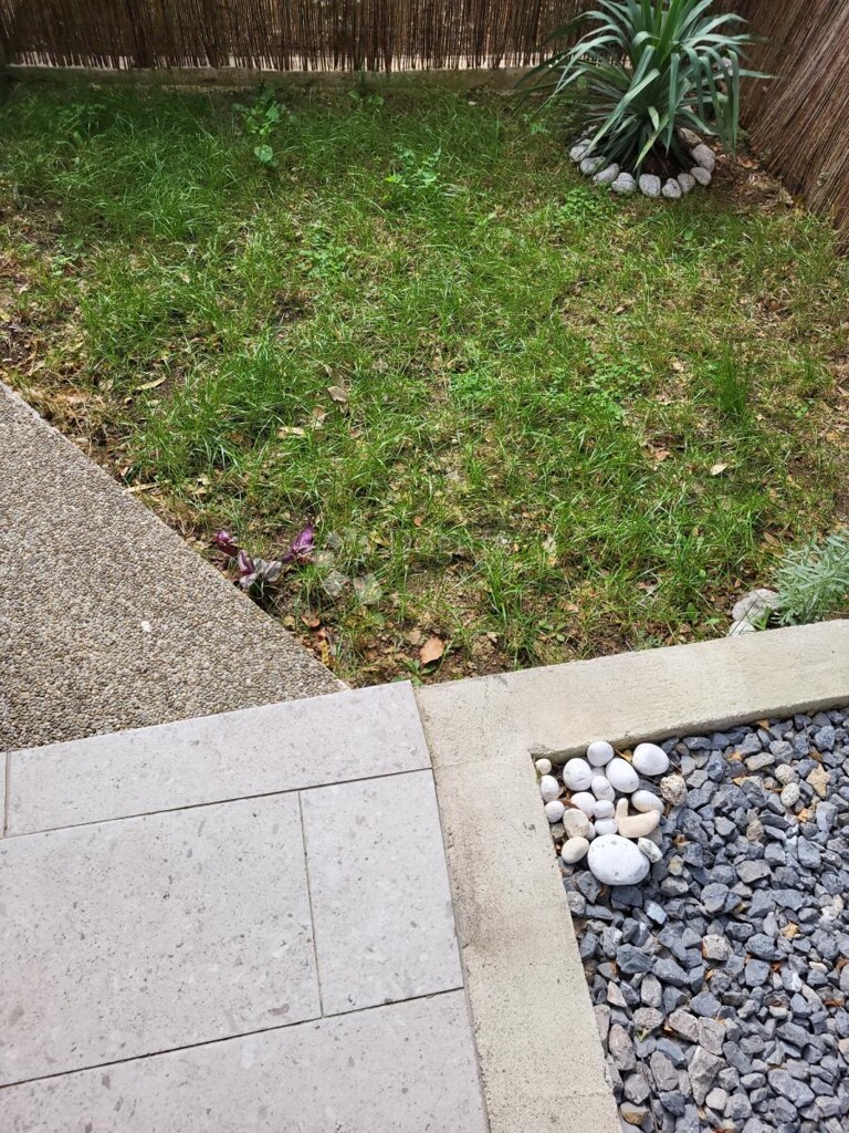 Image 23