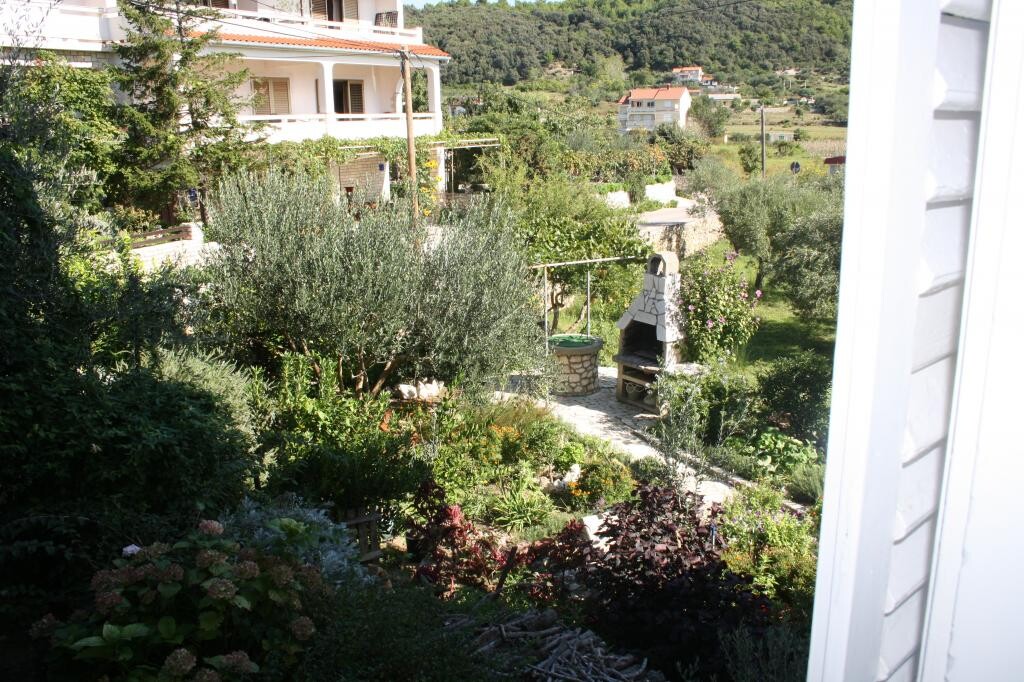 Image 3811649 - 7