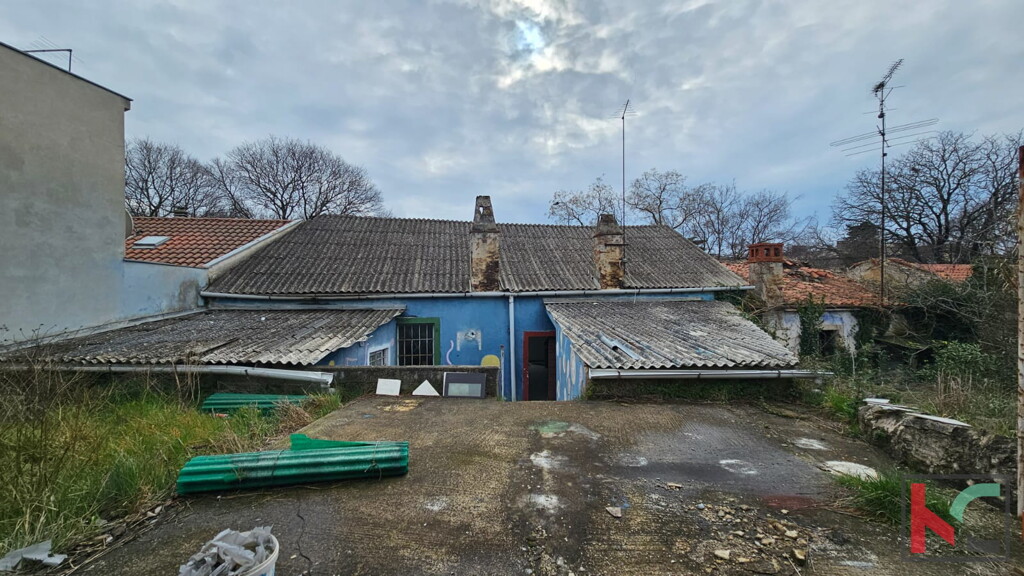 Image 8