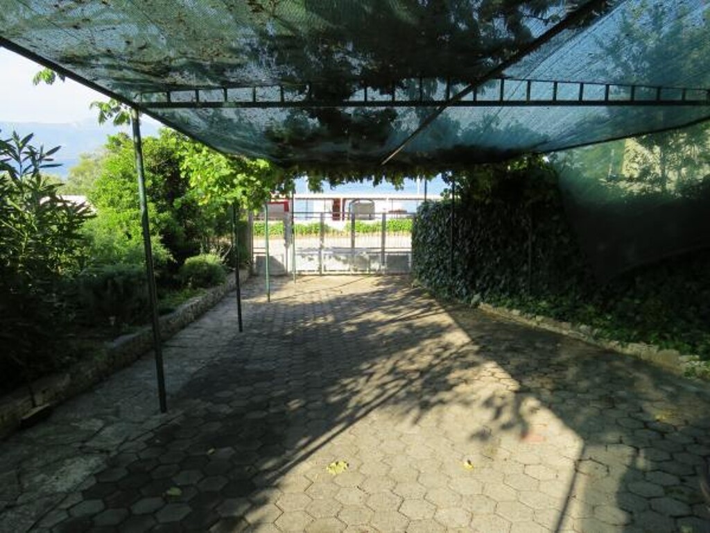 Image 3814013 - 5