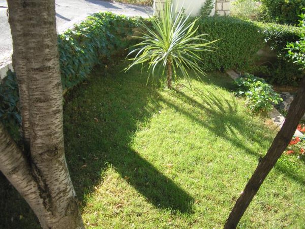 Image 3810686 - 7