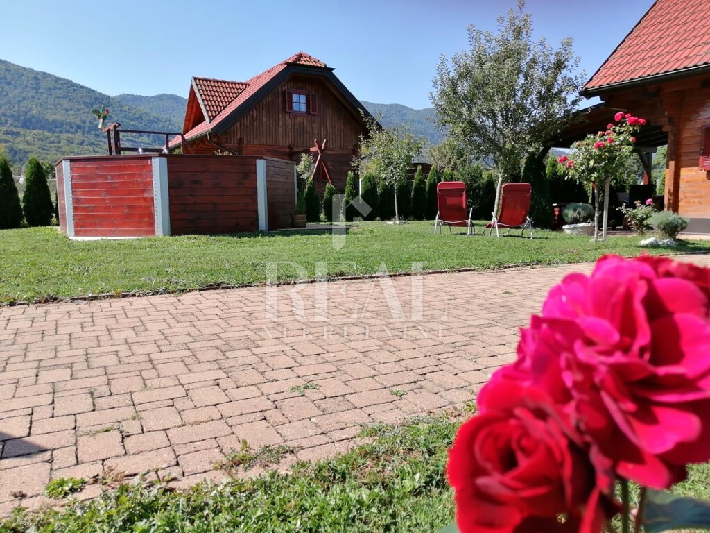 Image 19