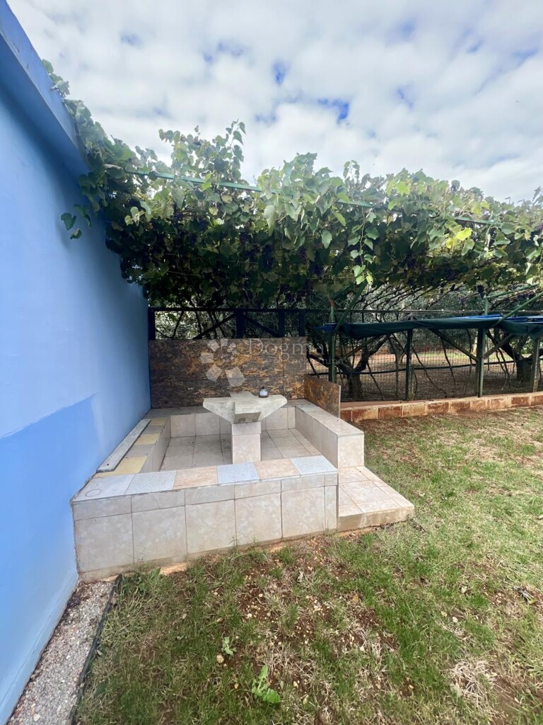 Image 8