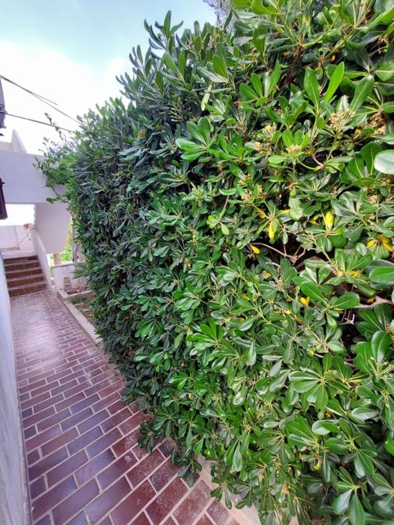 Image 3810563 - 9