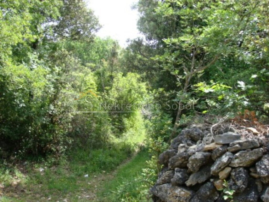 Image 9