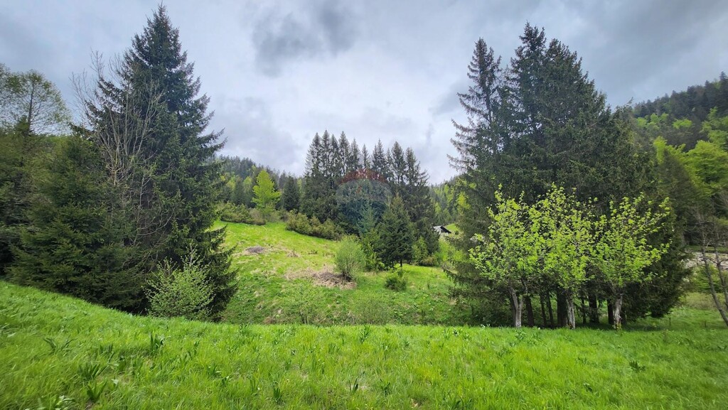 Image 15