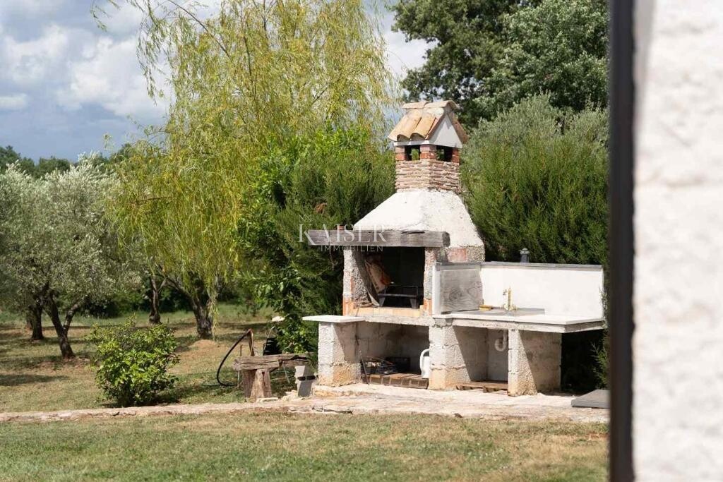 Image 14