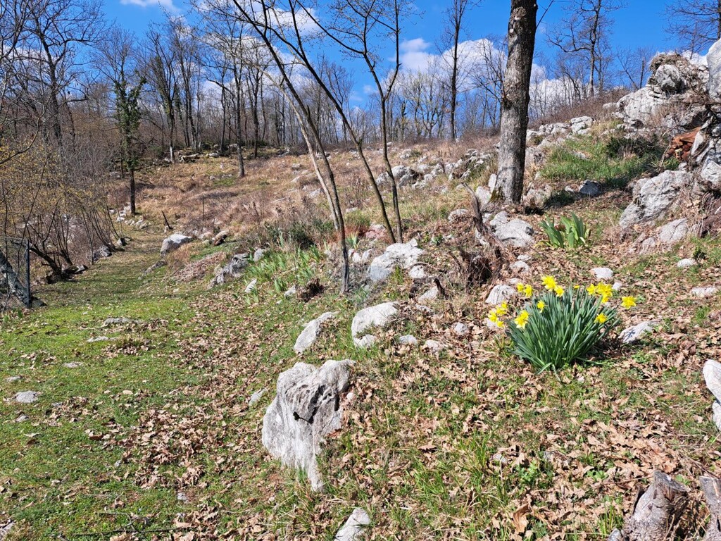 Image 5430221 - 4