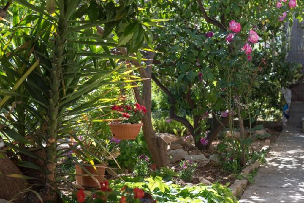 Image 3811873 - 7