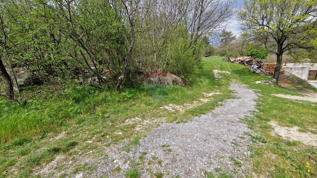 Image 5430035 - 7
