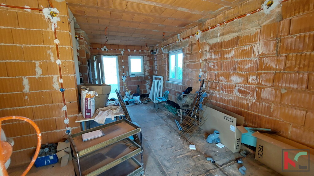 Image 13