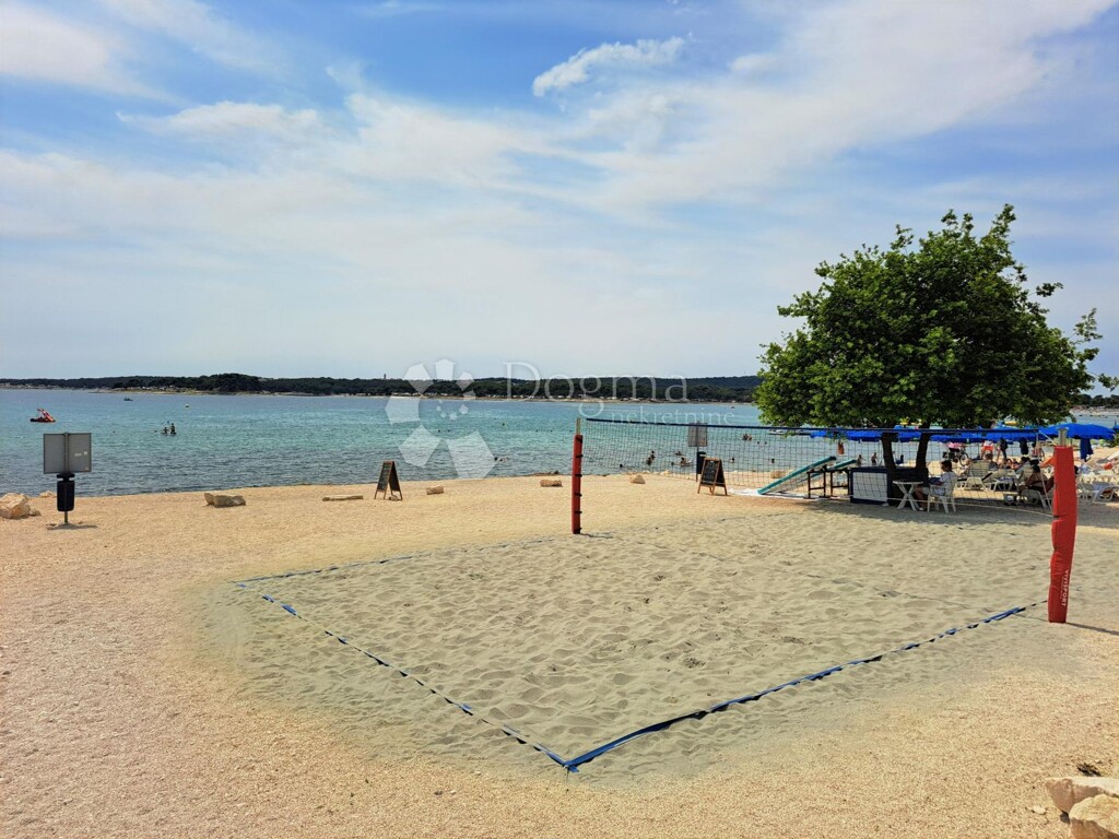 Image 21