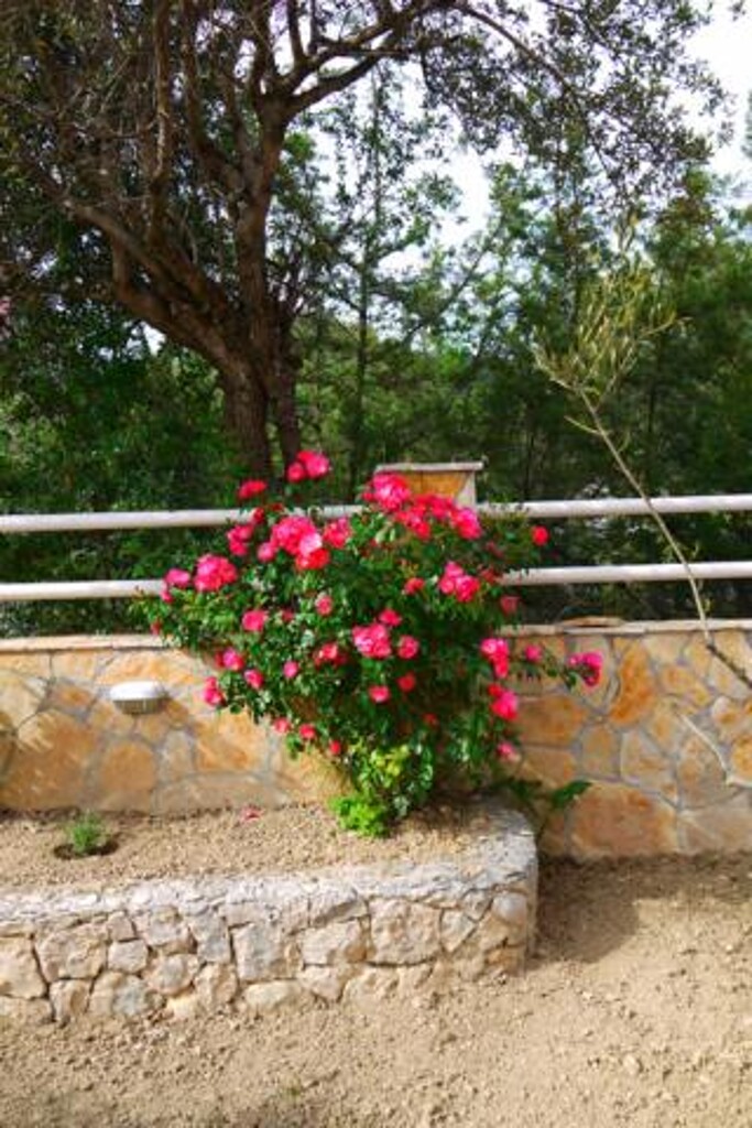 Image 3812281 - 3