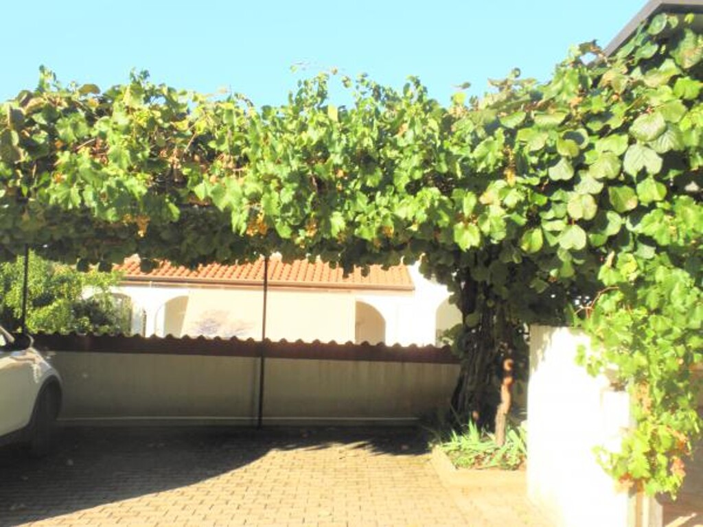 Image 3811518 - 8