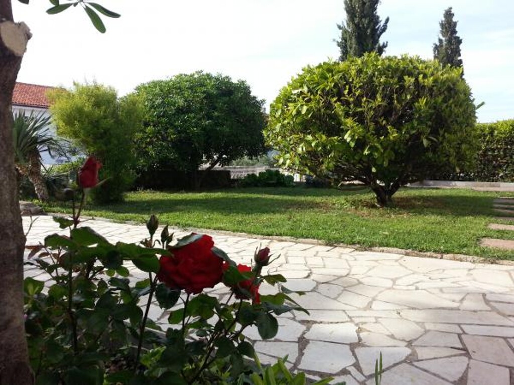 Image 3813456 - 4