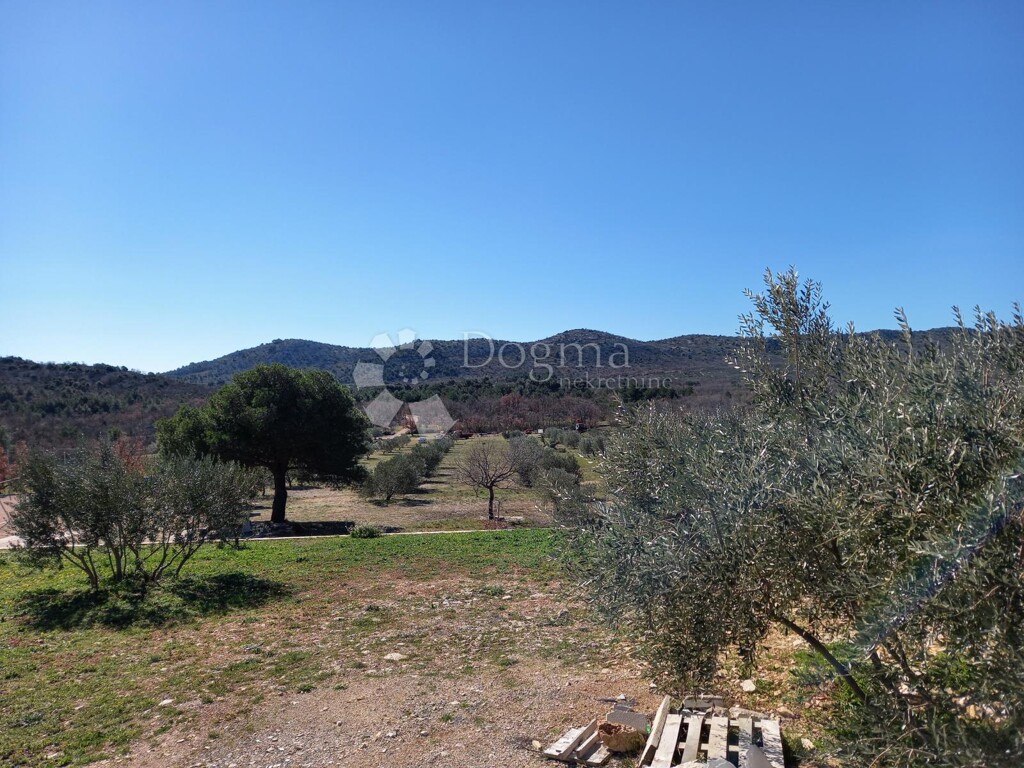 Image 15