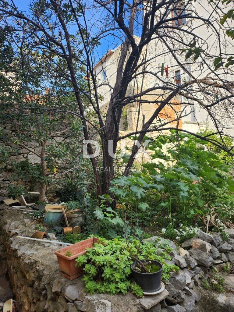 Image 14