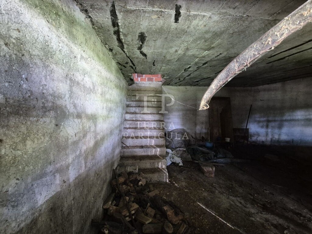 Image 23
