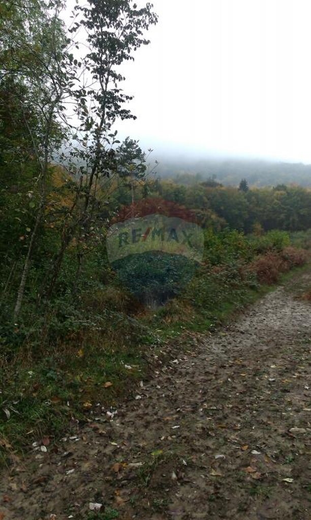 Image 5410802 - 3