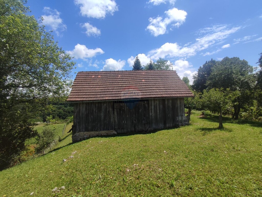 Image 8