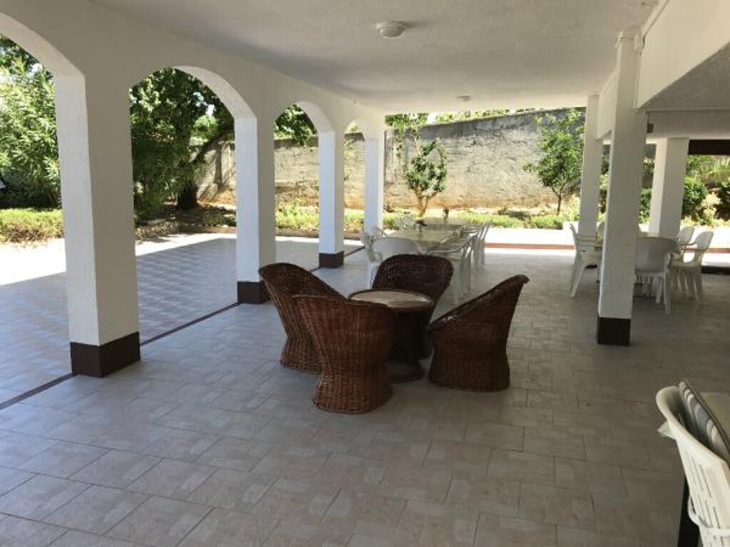 Image 3812209 - 5