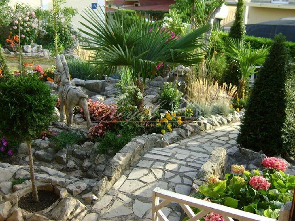 Image 13