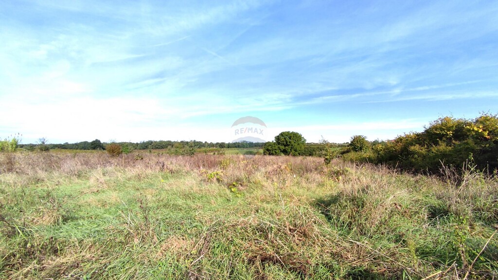 Image 5429139 - 3