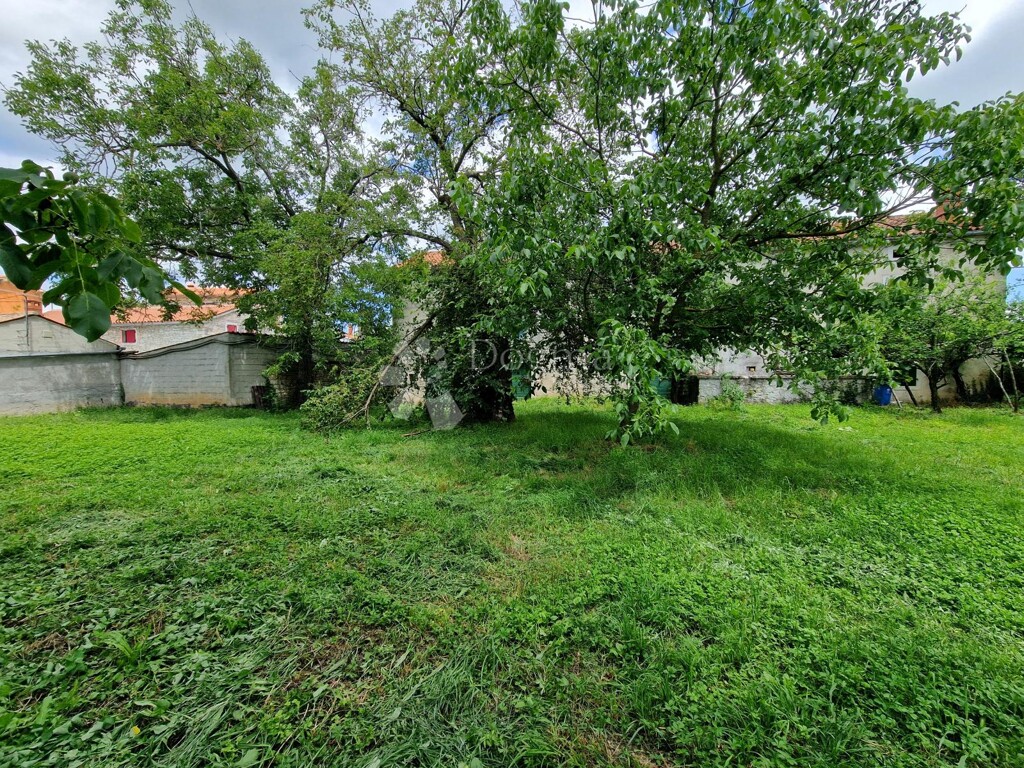 Image 20