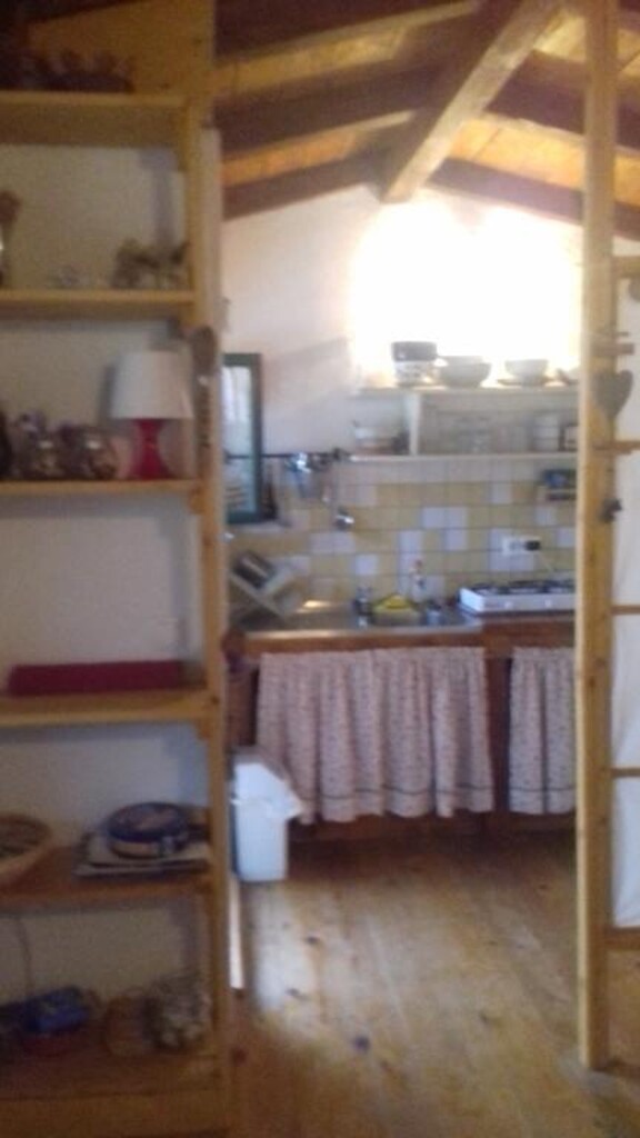 Image 3823622 - 28
