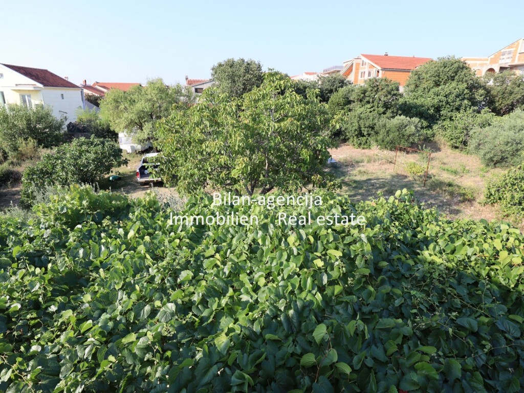 Image 6083419 - 15