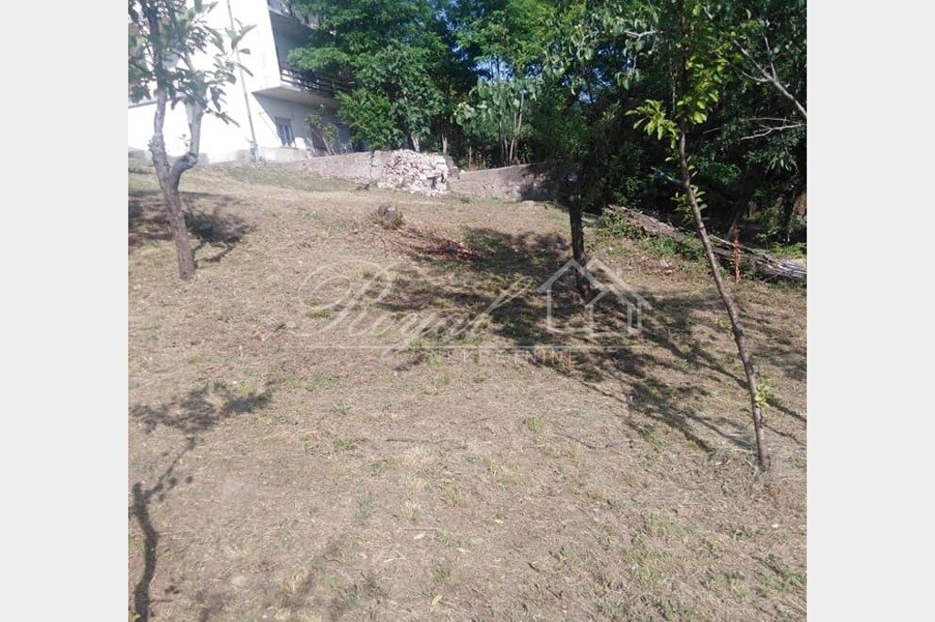 Image 14