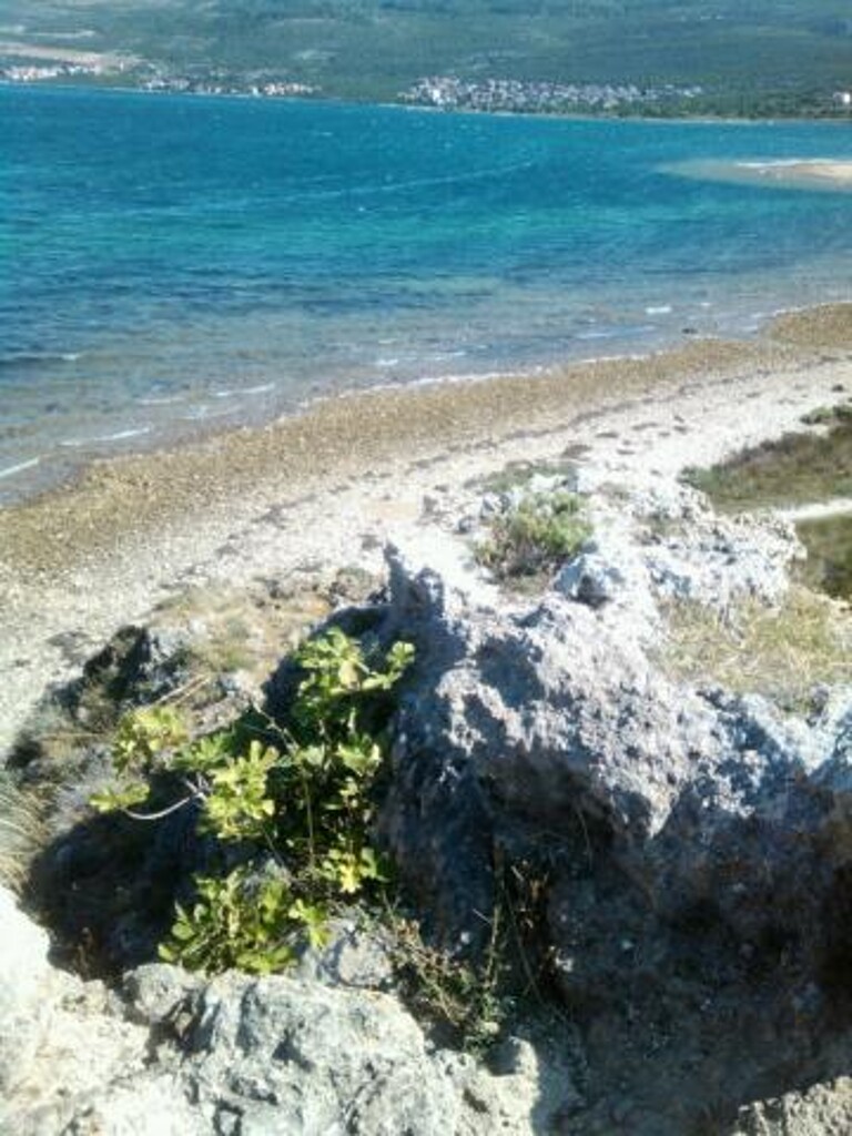 Image 3812699 - 28
