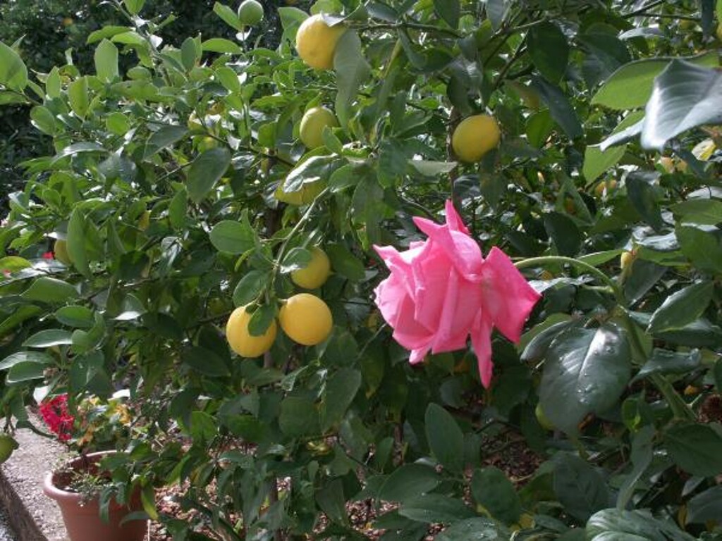 Image 3812302 - 12