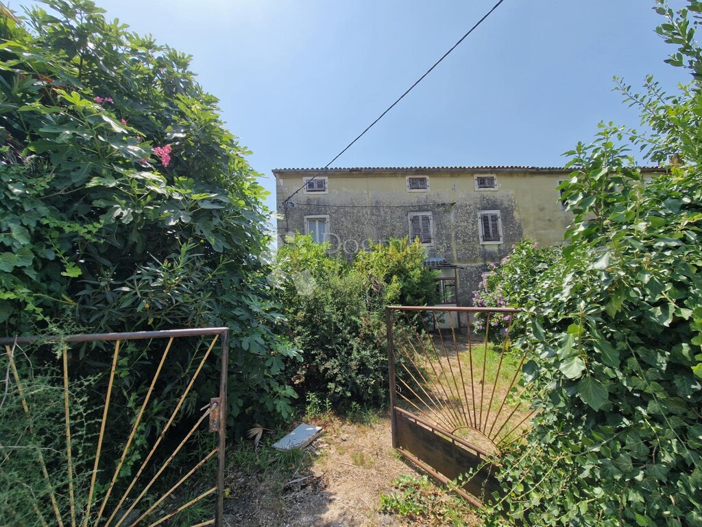 Image 21