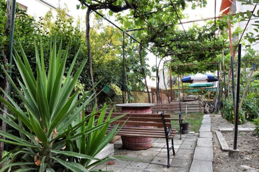 Image 3814057 - 3