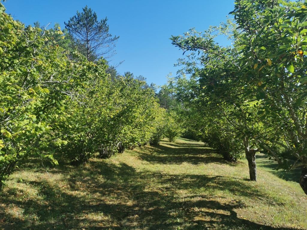Image 35