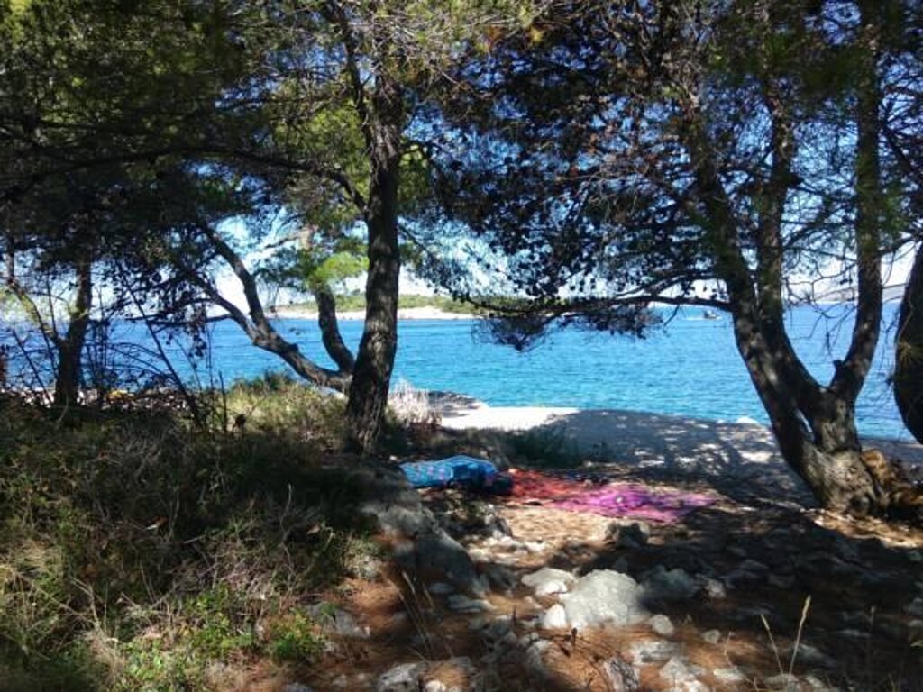Image 3812600 - 7