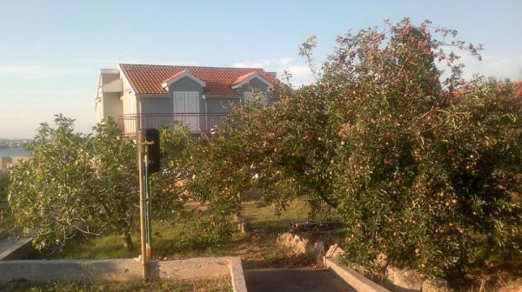 Image 3812475 - 3