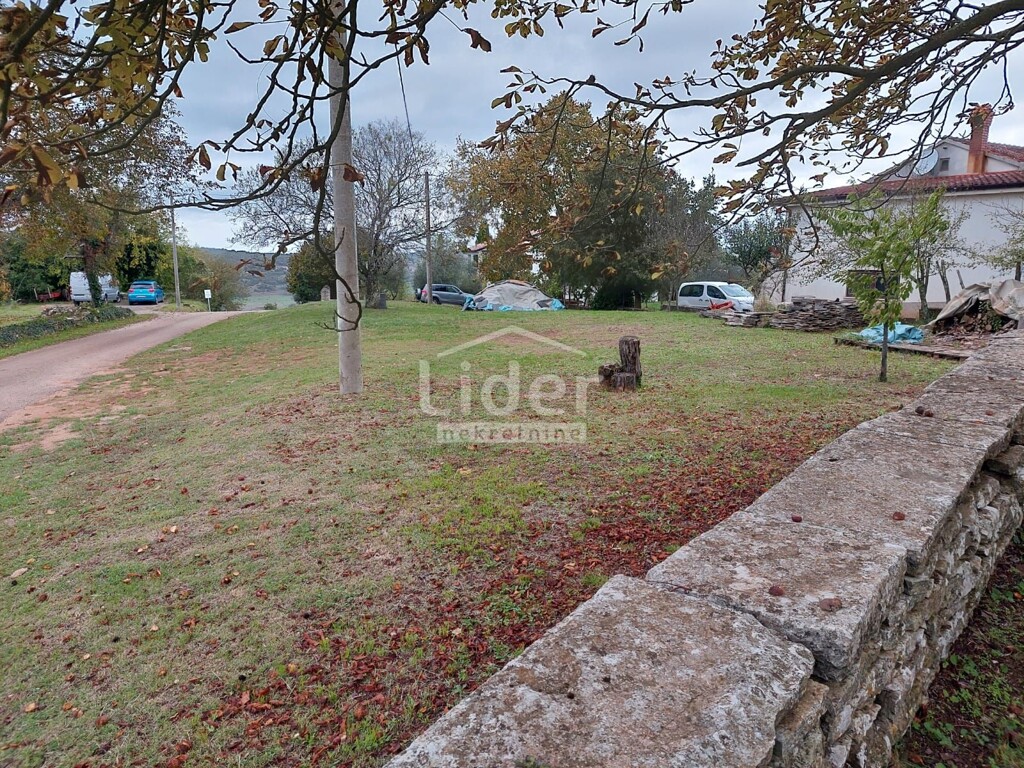 Image 6144948 - 5