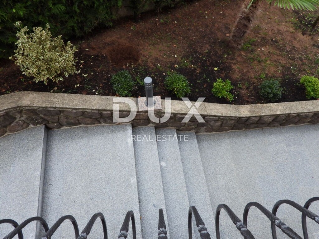 Image 20