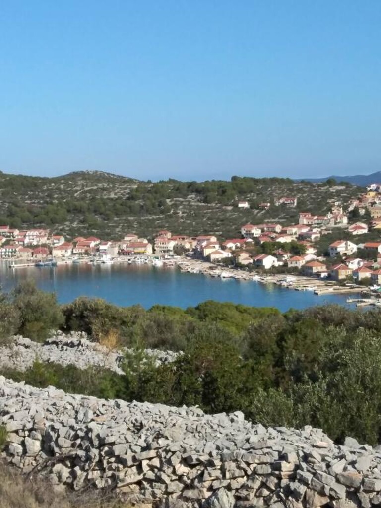 Image 12