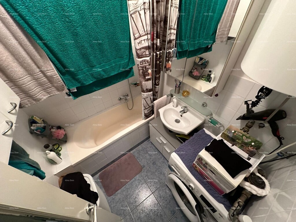 Image 7