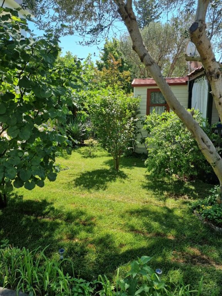 Image 3813824 - 19