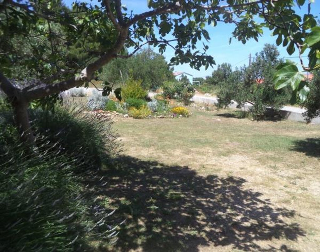 Image 3813070 - 22